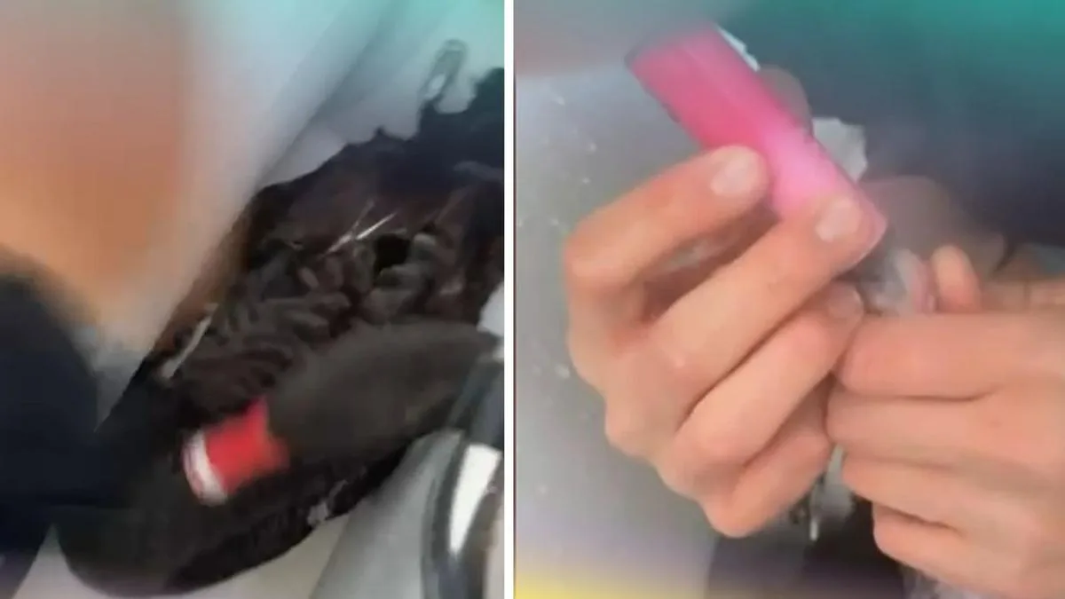 Teen sentenced for tormenting swan with a vape south of Perth