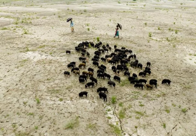 La planète en alerte face à un “super-El Niño”