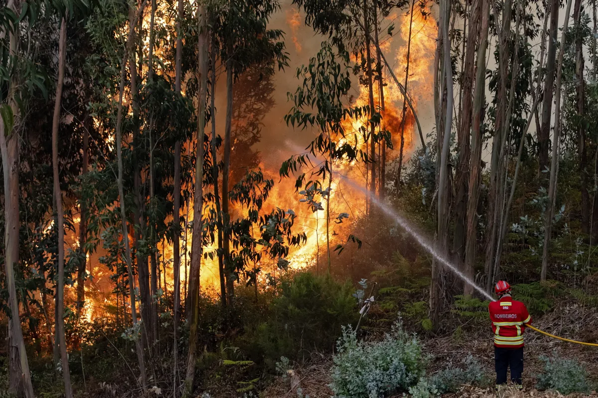 Incêndio em Sabrosa terá sido provocado com velas de cera. Homem detido