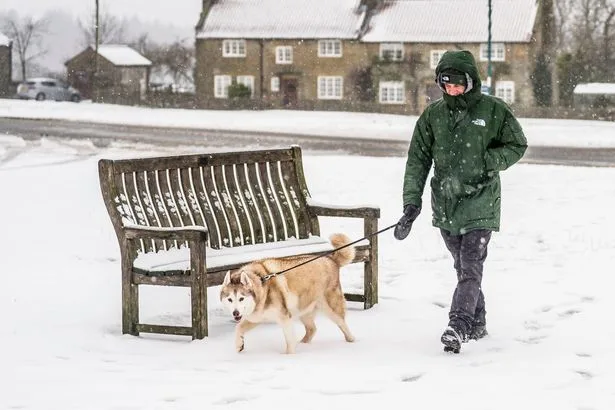 Met Office says snow could fall this weekend as UK braces for colder weather