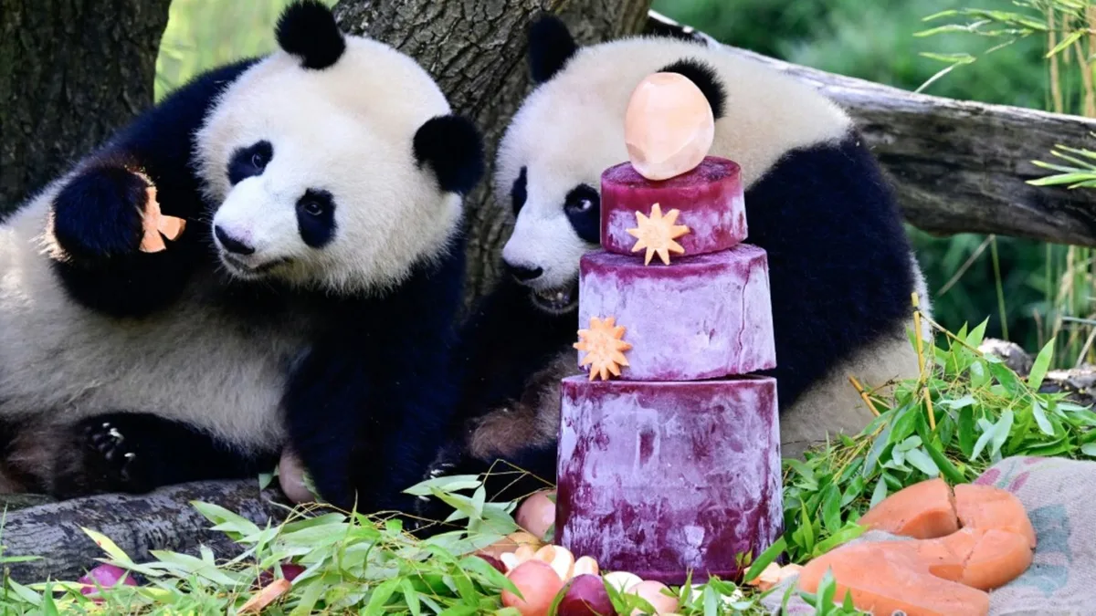 Gemüsekuchen