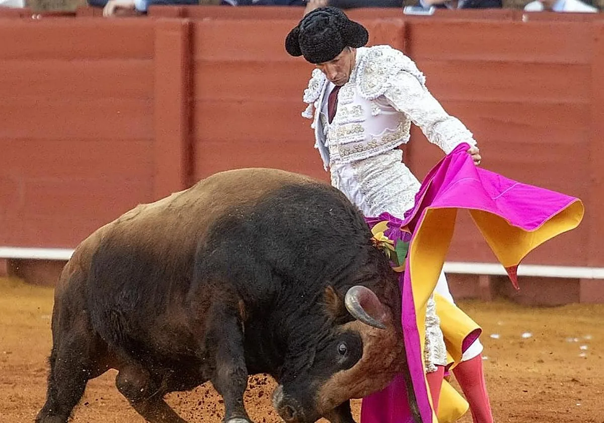 Cuánto dinero cobra un torero en España por corrida en 2026: sueldos por categoría