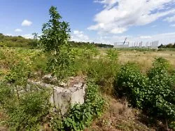Protest gegen Bauprojekt: Auf ehemaligem KZ-Gelände bei Wien soll Gewerbepark entstehen