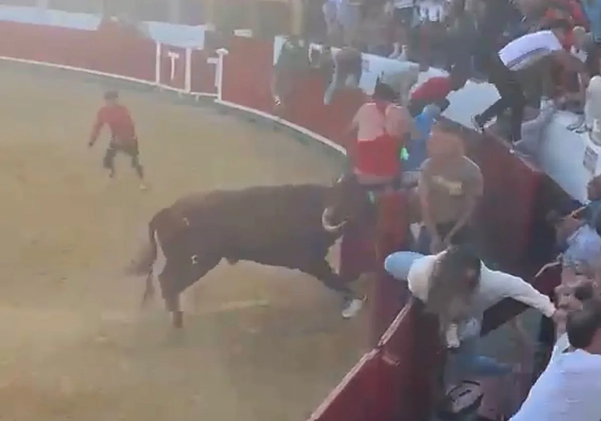 Susto en el primer encierro de Bargas (Toledo), que deja tres heridos leves