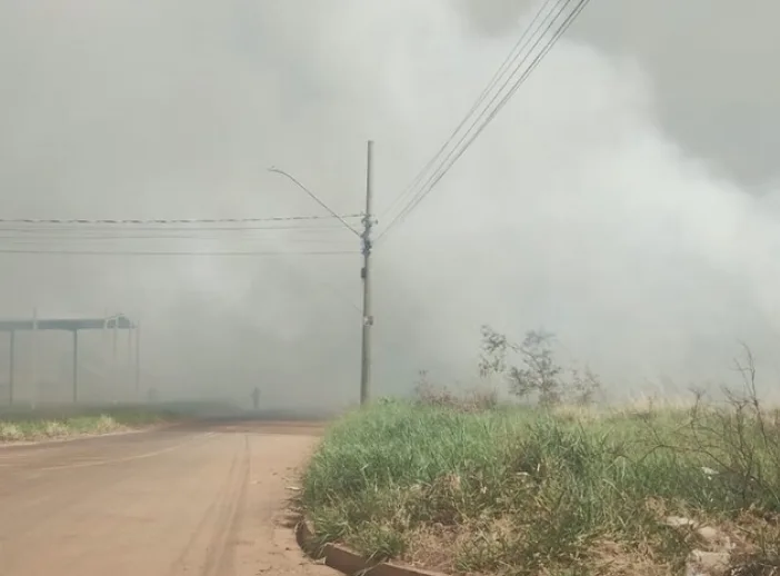 Quase 30% dos incêndios em vegetação do ano ocorreram em 19 dias de agosto