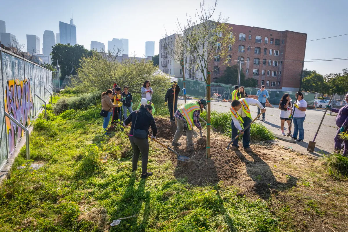 One L.A. school trades asphalt for trees and grass