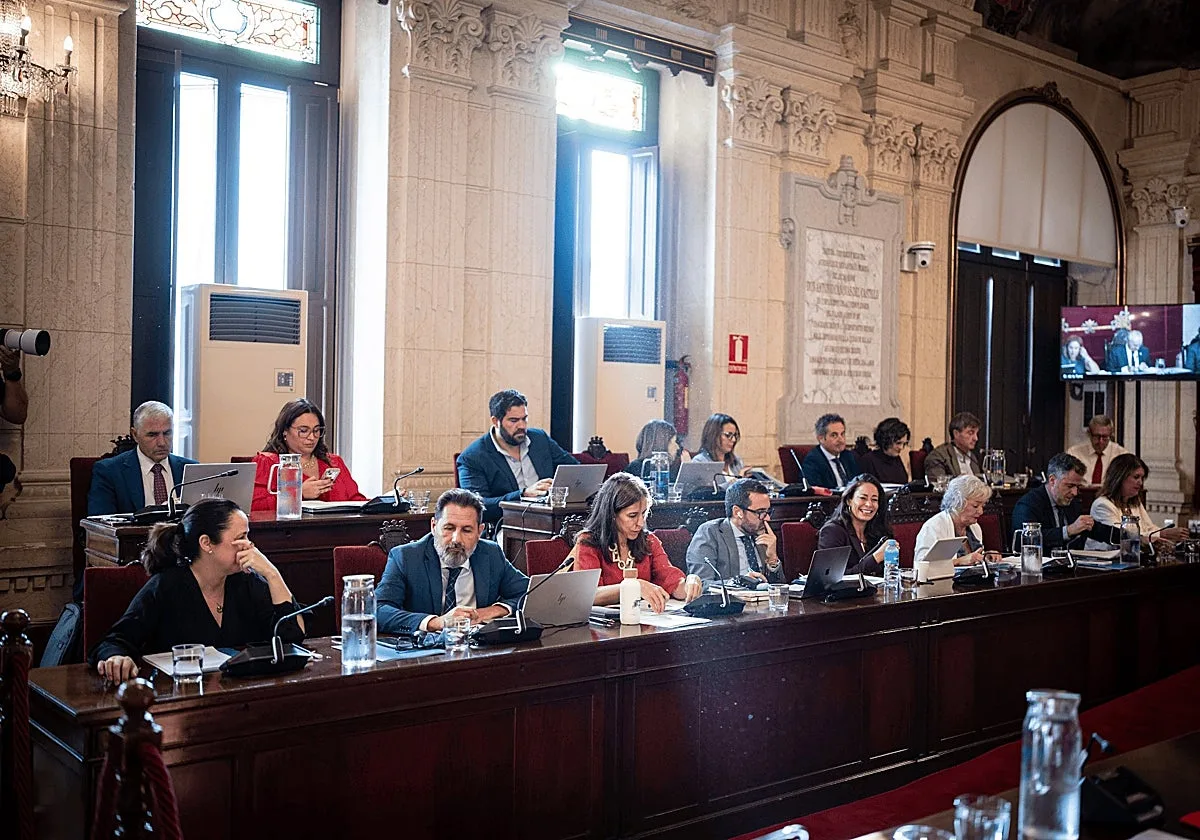 El pleno de Málaga se incendia por el cierre de playas: «Llovió 120 piscinas olímpicas en una hora, ninguna depuradora aguanta eso»