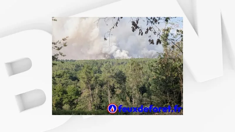 Un feu de forêt parcourt plus de 100 hectares en une après-midi au sud de Rennes, 200 hectares menacés