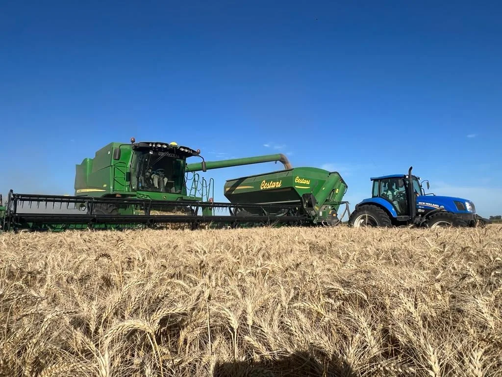 Negocios del Campo: este miércoles se realizará una nueva edición de un clásico del sector agropecuario