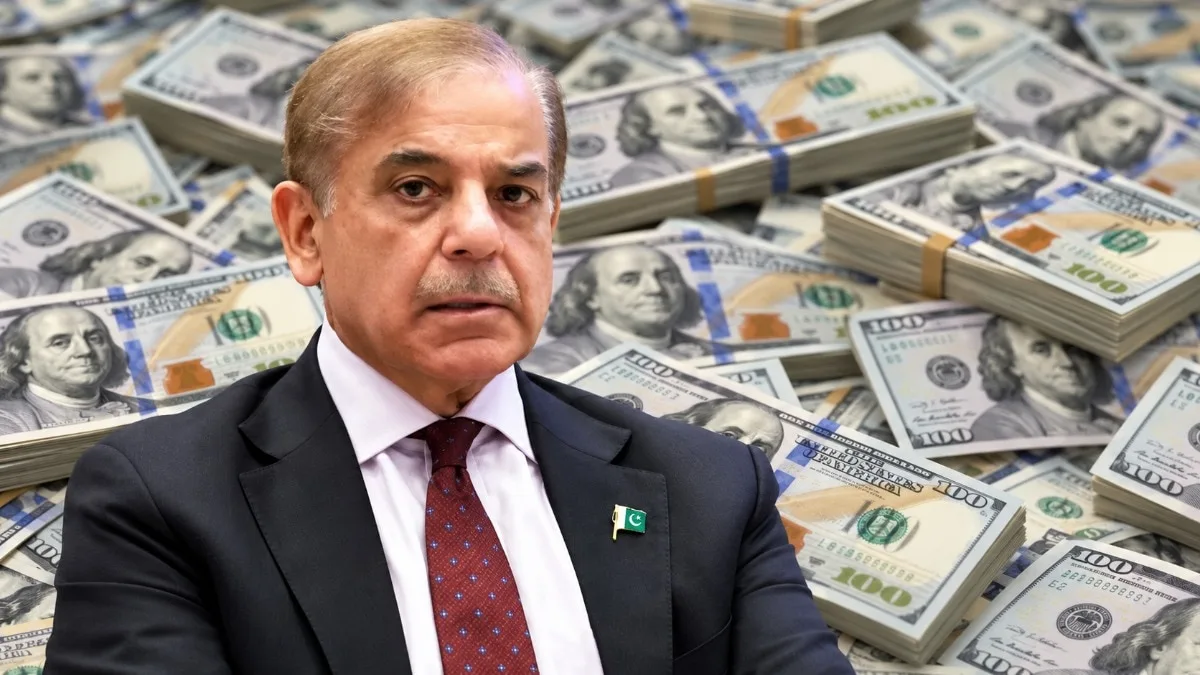 Serial-borrower Pak is chief of global borrowers' club. What it brings to the table