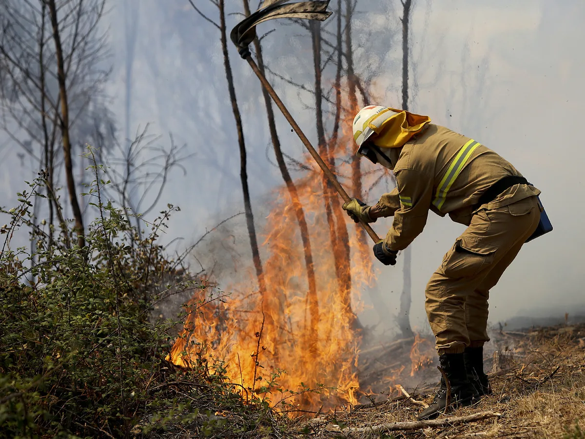 Incêndio nos Arcos de Valdevez mobiliza mais de 100 operacionais