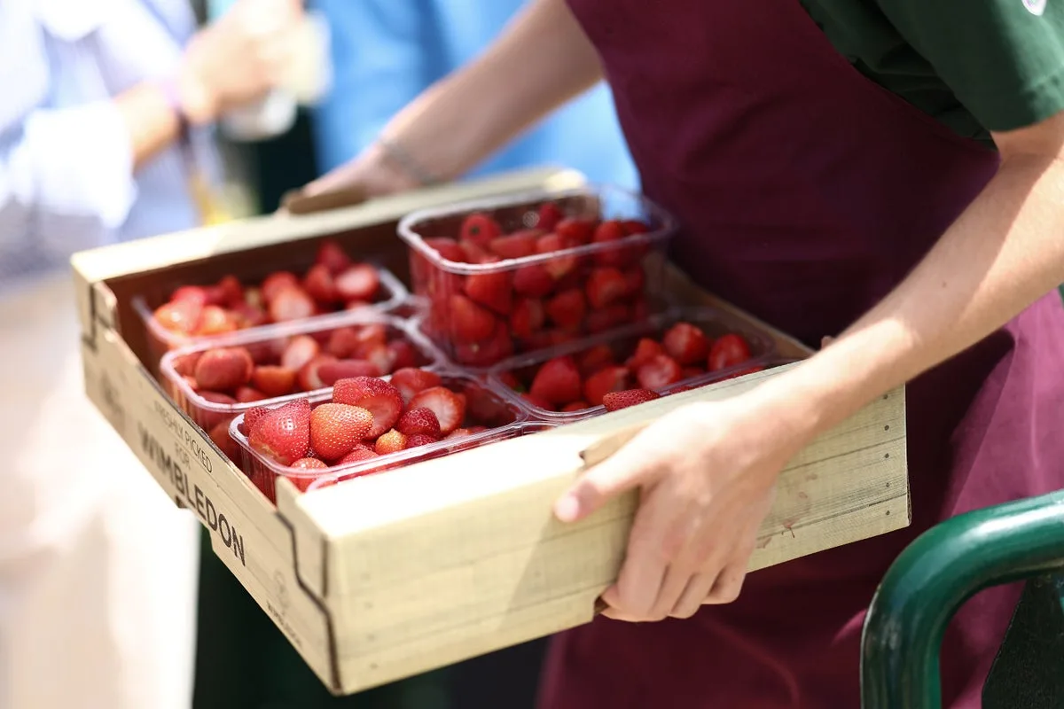 Record-breaking heatwaves lead to bumper berry crops after summer of wildfires and water shortages
