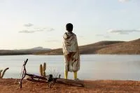 “Dentro da Baleia”: novo terror é baseado em história real?