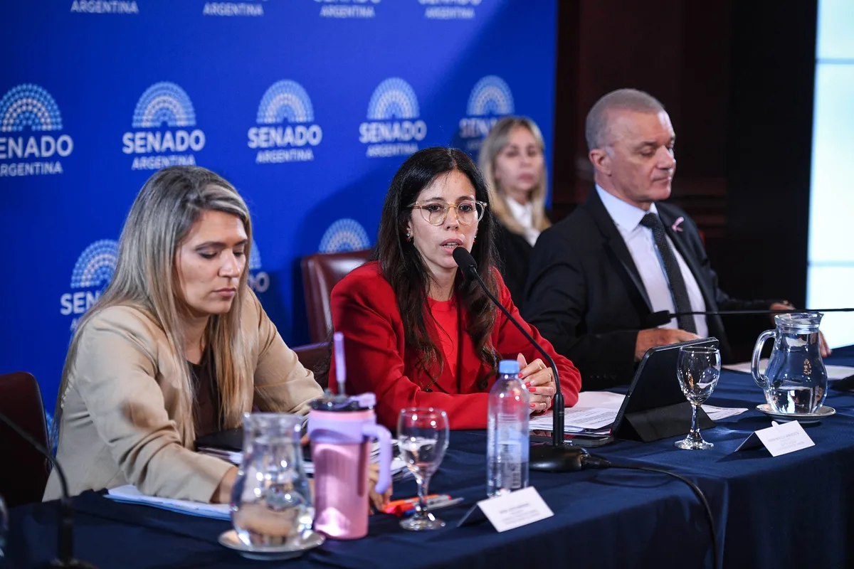 Senado: se demoran las firmas para dictaminar la ley de salud mental y hay disidencias de los aliados