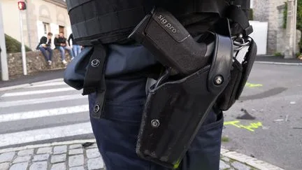 Le nombre de personnes tuées par balle par la police et la gendarmerie est-il "stable, voire en baisse", comme le dit Laurent Nunez ?