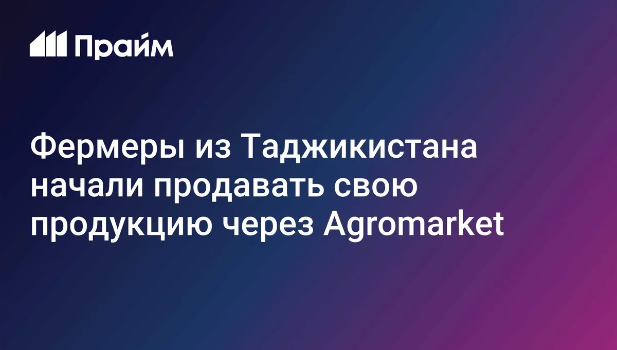 Фермеры из Таджикистана начали продавать свою продукцию через Agromarket