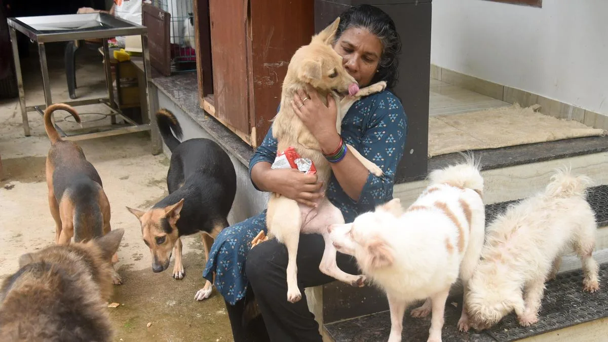 How this Keralam animal lover has turned her rented home into a sanctuary for rescued dogs and cats