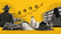 Conab eleva estimativa da safra de café para 67,6 milhões de sacas