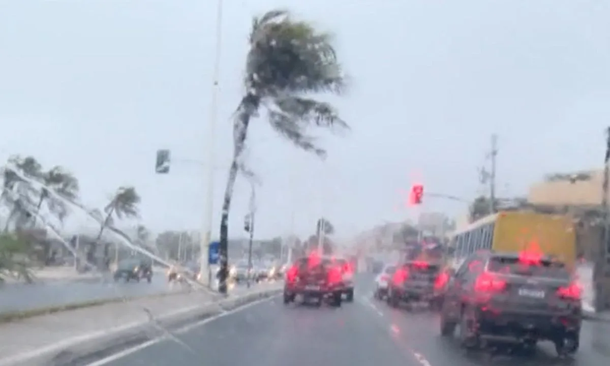Inmet emite alerta amarelo para vendaval em cidades do sul e extremo sul da Bahia; confira previsão do tempo