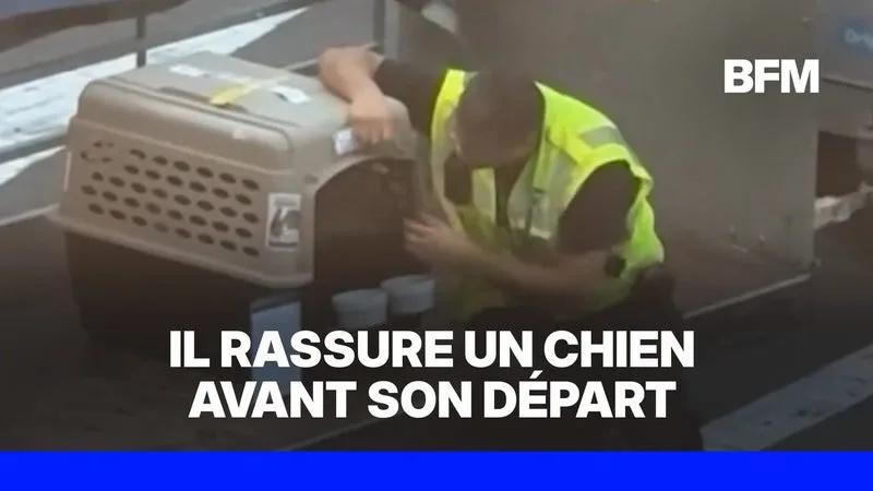 Cet employé d'aéroport réconforte un chien anxieux avant son départ en soute