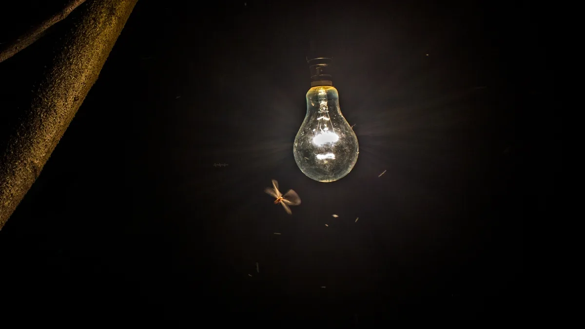 Águas Claras, Jardim Botânico e Samambaia ficarão sem luz nesta sexta