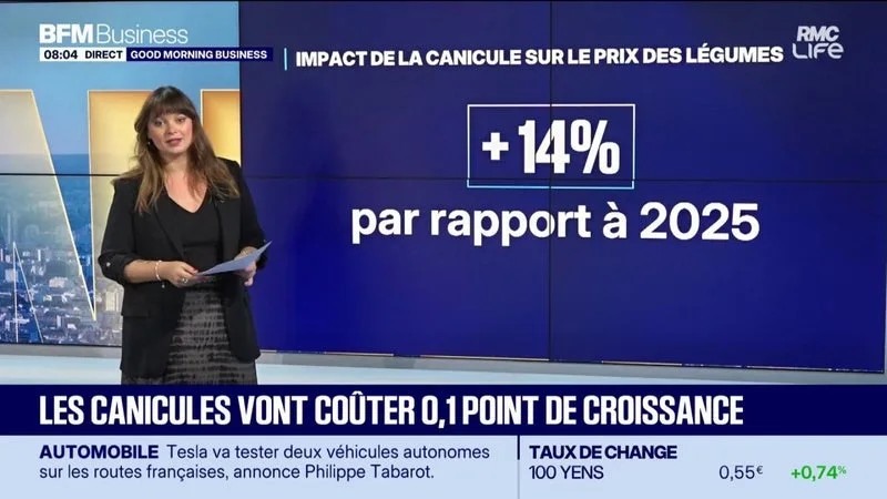 La canicule va coûter 0,1 point à la croissance française cette année