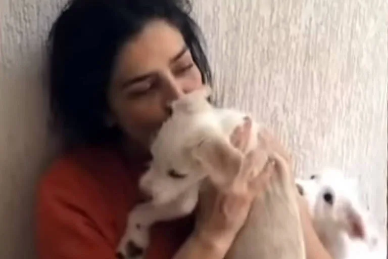 Letícia Sabatella reencontra cão após decisão da Justiça do Rio; veja vídeo