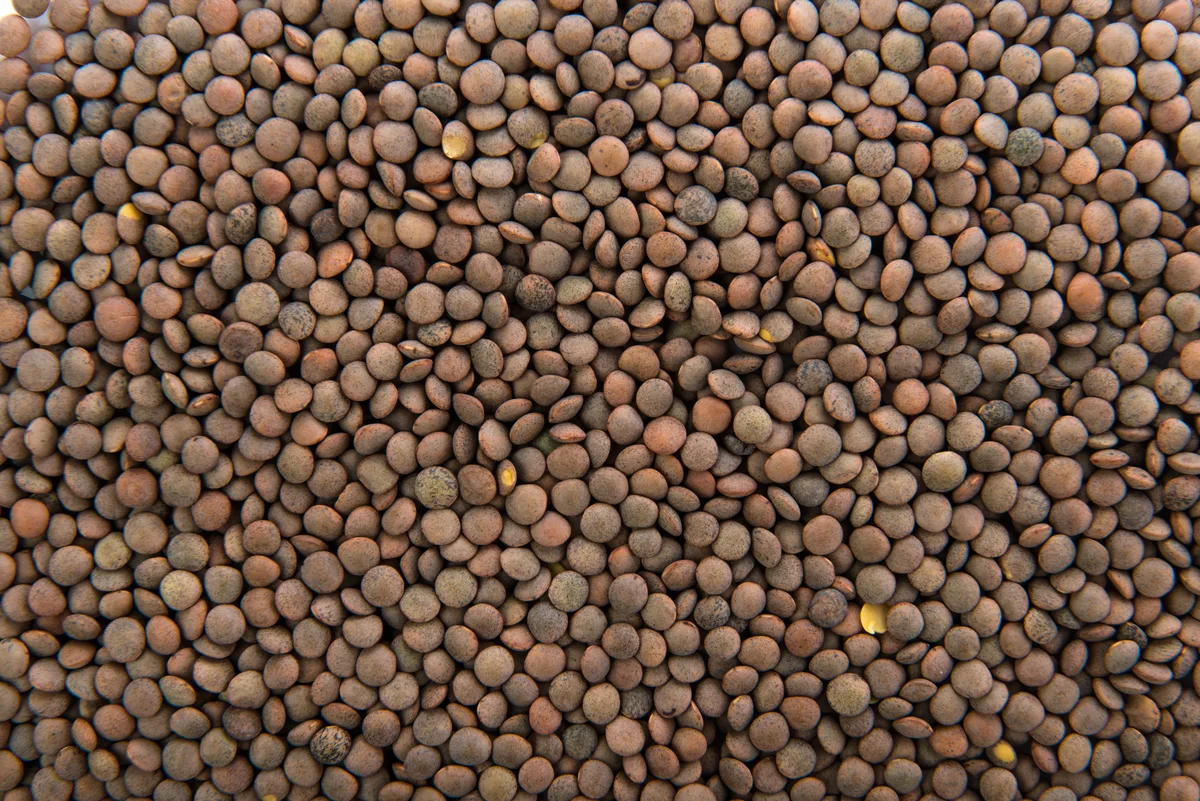Farinha de lentilha: descubra os benefícios dessa opção para receitas veganas