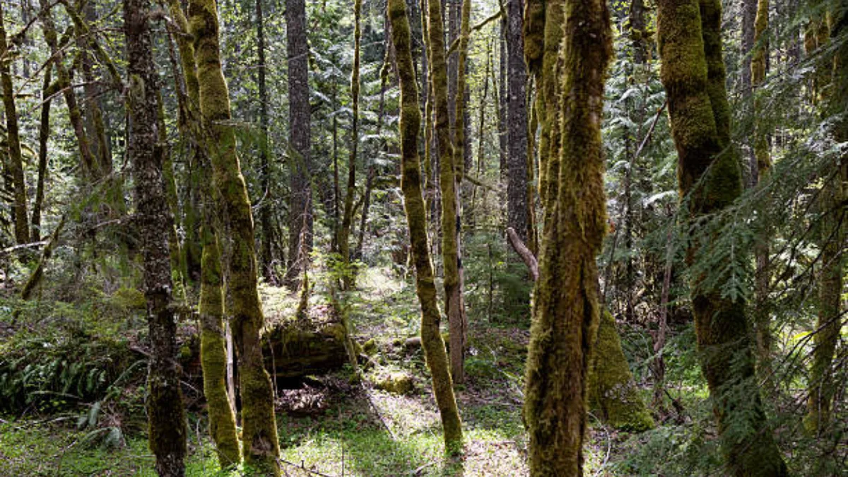 New Jersey couple gave away 90-acre estate; land is now a free public preserve