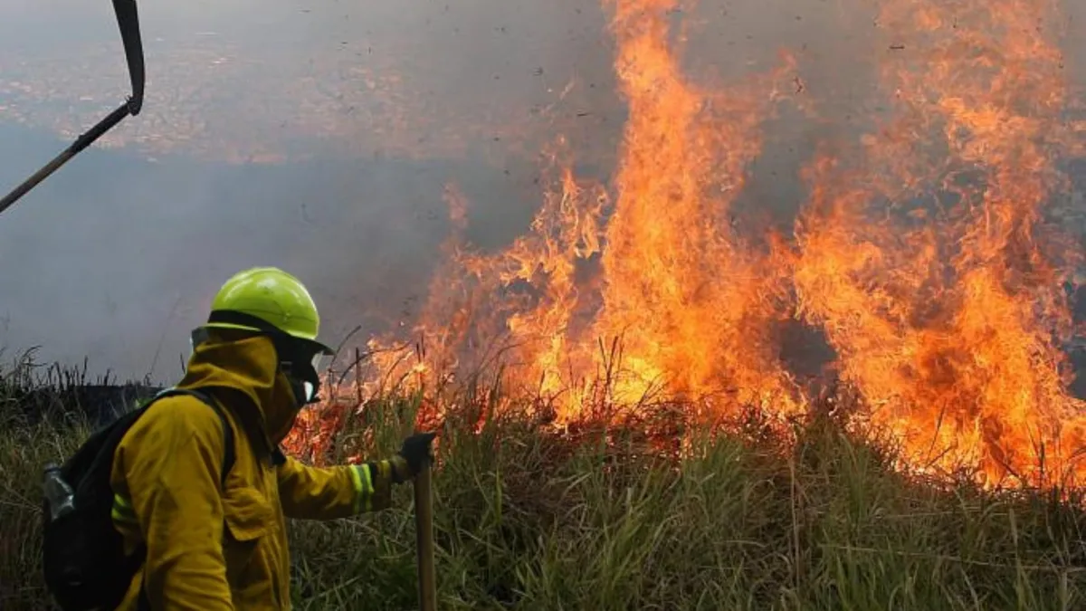 Incendios forestales: septiembre se perfila como un mes crítico en Bogotá y Cundinamarca