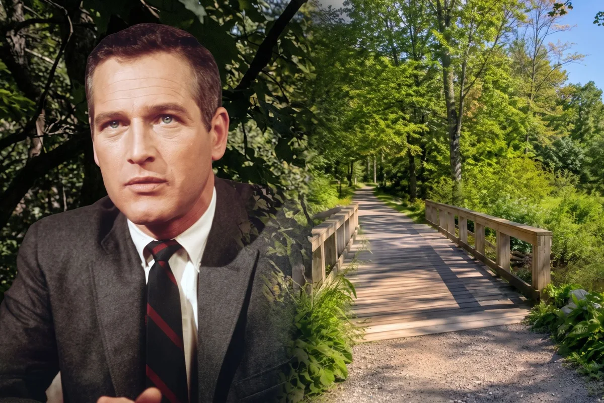 Paul Newman tenía un campo en Connecticut y años después lo donó para contribuir a una reserva natural de más de 15 hectáreas