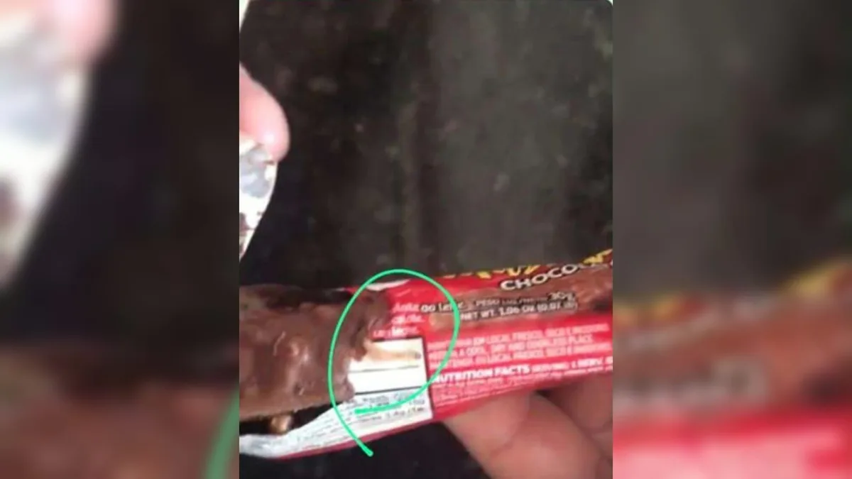 Família que encontrou larvas vivas em chocolate receberá R$ 8 mil após passar mal, decide Justiça de SC