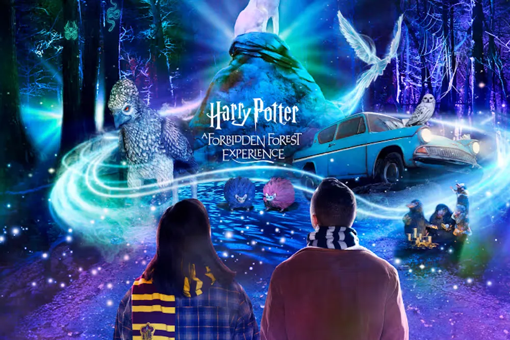 ‘Harry Potter: A Forbidden Forest Experience’ Returns to New York Just in Time for Halloween — Here’s How to Get Tickets