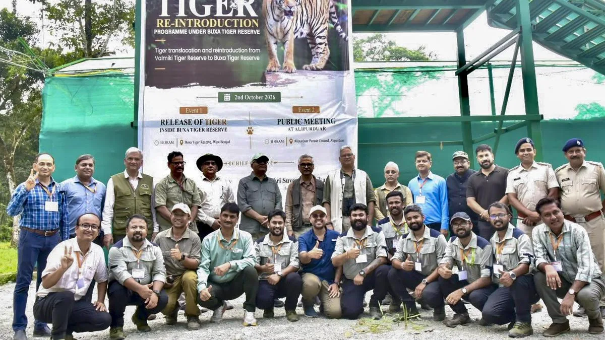 Reintroduction of tigers in Buxa: What it means for conservation | Explained