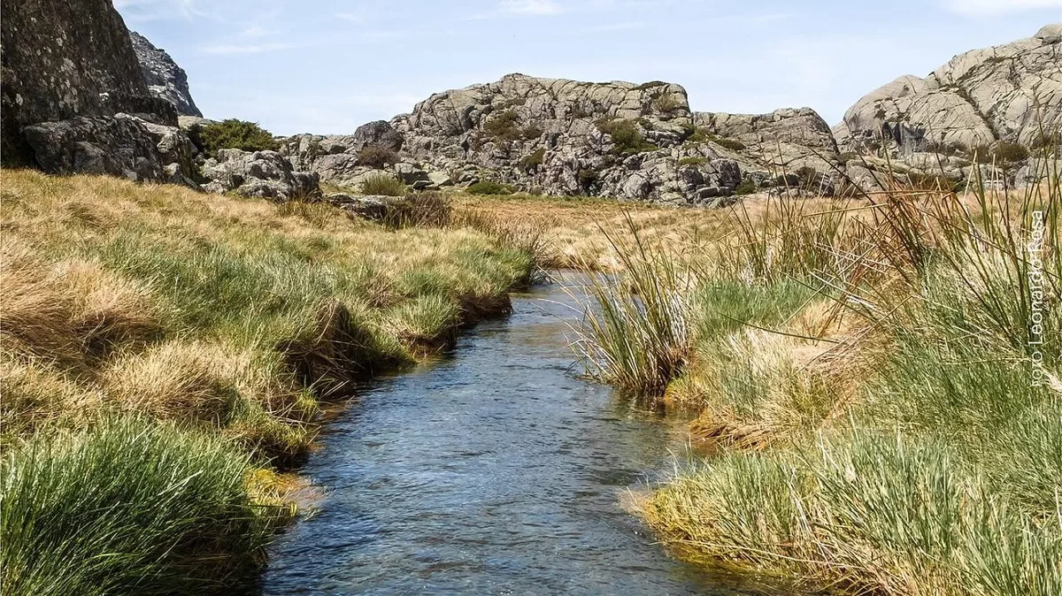 REGIÃO: Zona Núcleo da Reserva da Biosfera da UNESCO abrange áreas prioritárias da Serra da Estrela