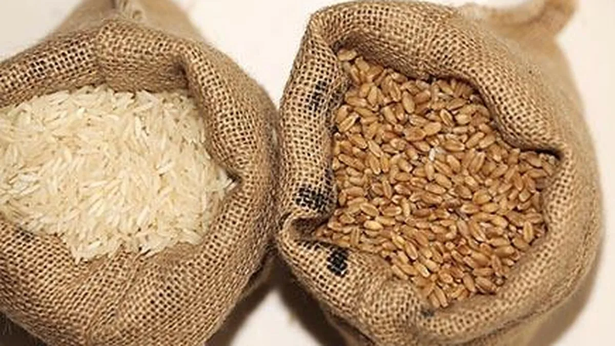 Over 6,000 kg of rice, wheat allegedly diverted from ration shops seized in Keralam