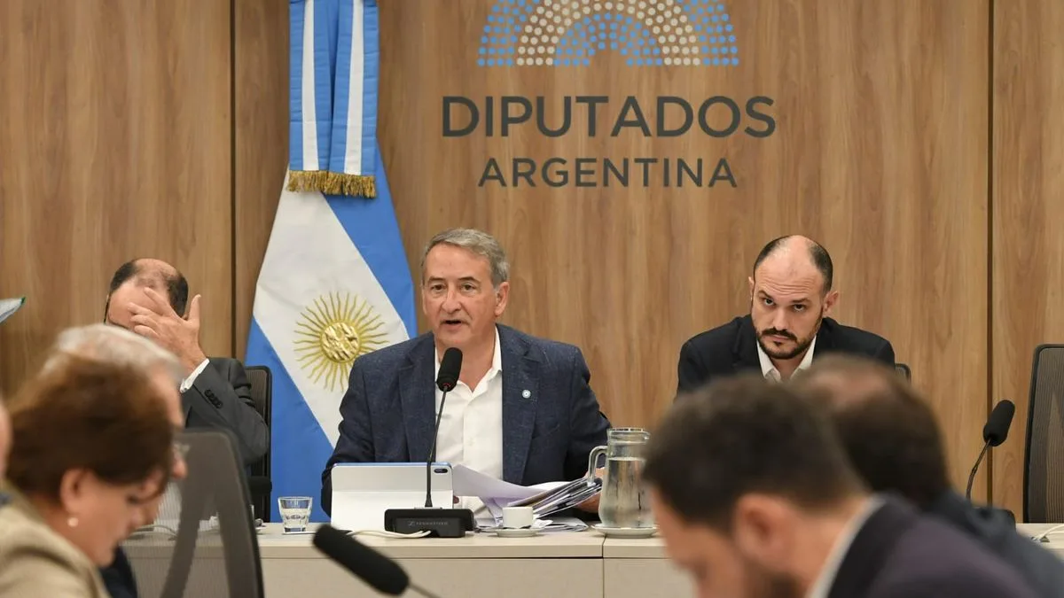 LLA reflota la ley de Tierras del kirchnerismo para blindar el DNU 70 y complicar la sesión opositora