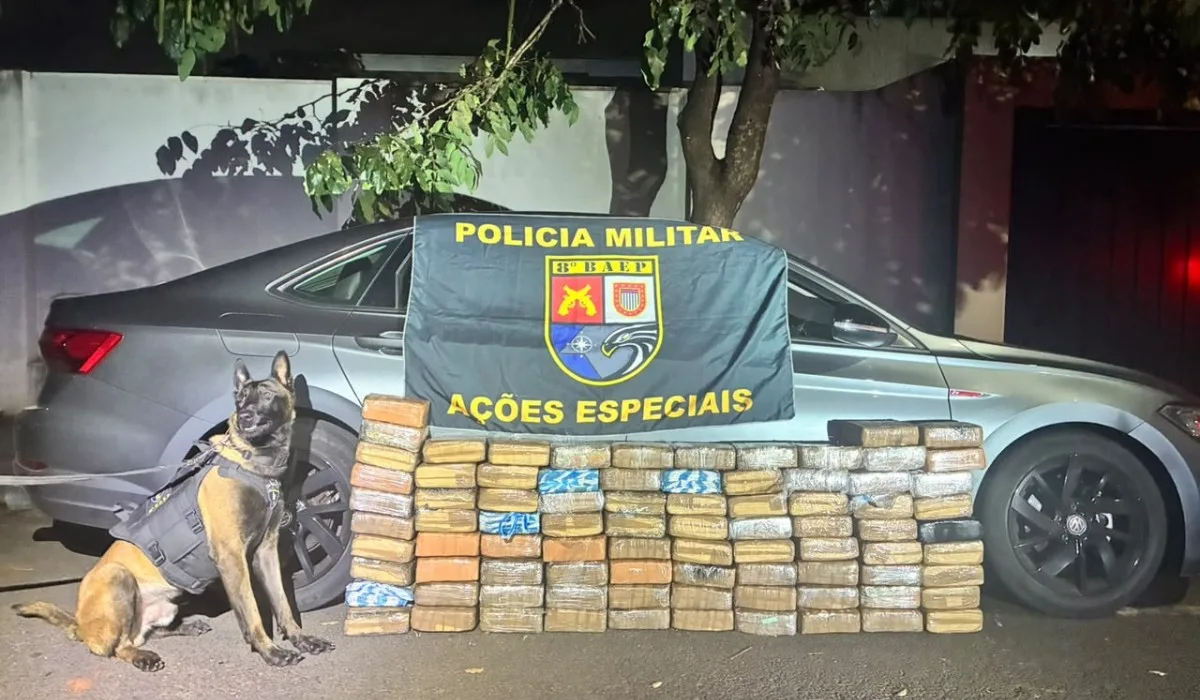 Quase 130 kg de maconha são apreendidos em carro à beira de rodovia no interior de SP