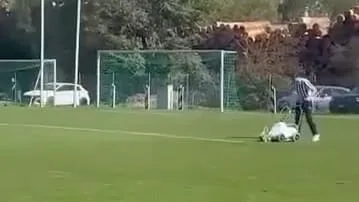 Er will nur die Linien nachziehen - Dieser Platzwart-Moment geht viral