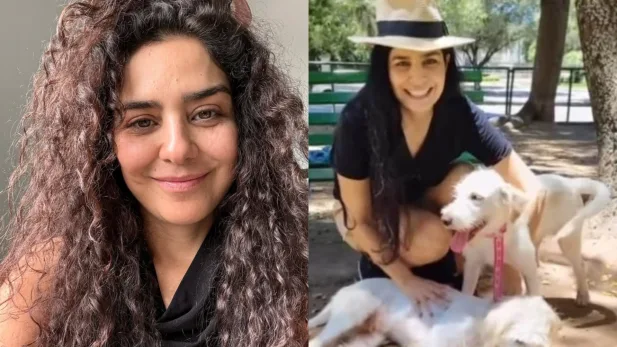 Justiça toma decisão em disputa por cachorro de Leticia Sabatella, que acusou adoção indevida Letícia Sabatella