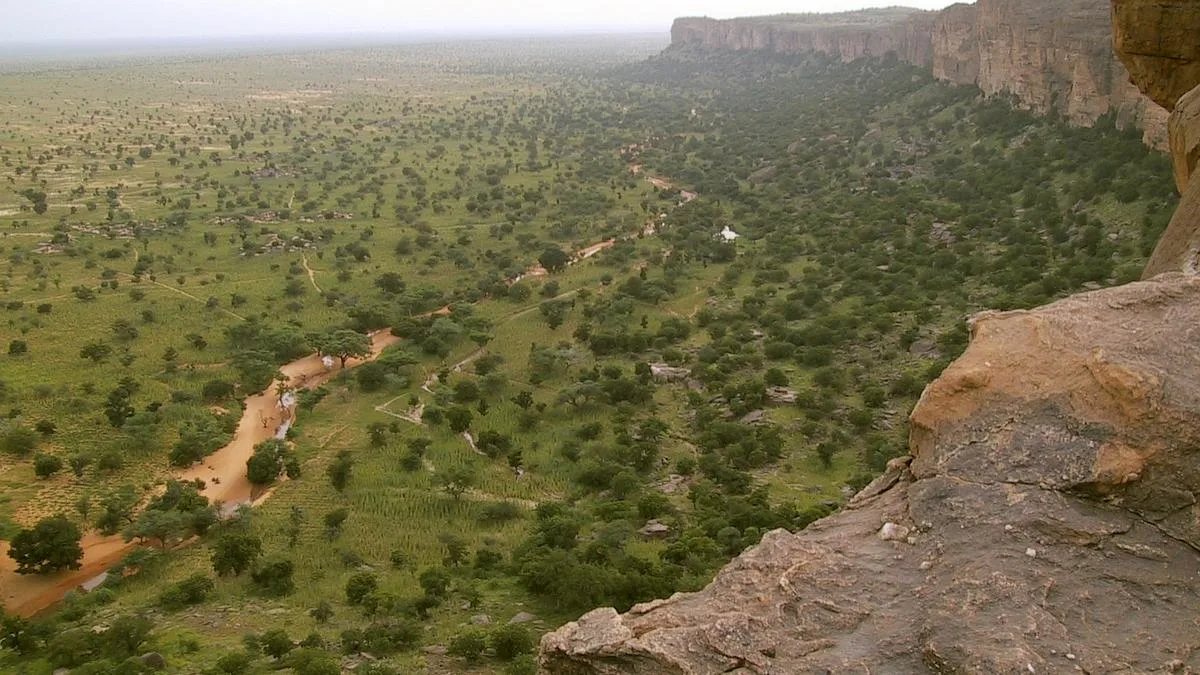 What is the barren-land fallacy?