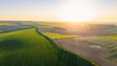 Farmers' fury at online scramble for £233m funding