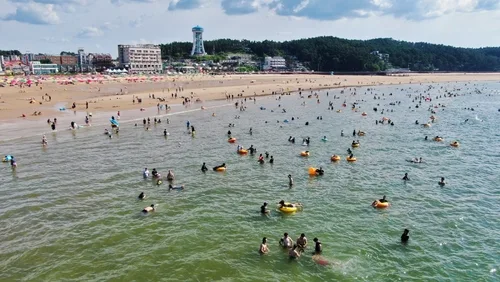 대천해수욕장에 496만명 방문…태안 21개 해수욕장에도 157만명(종합)