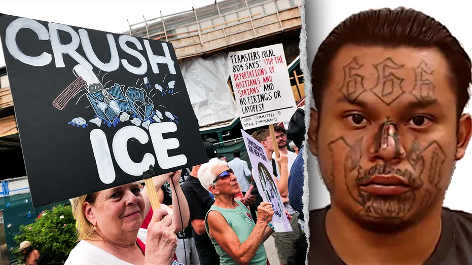 White House brings receipts after media claims noncriminal ICE arrests ‘soaring’: ‘False narratives’