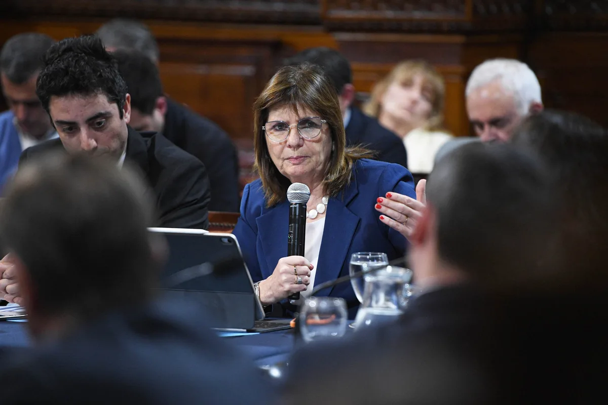 Reforma política: el oficialismo deja en manos de Santilli conseguir los votos para eliminar las PASO