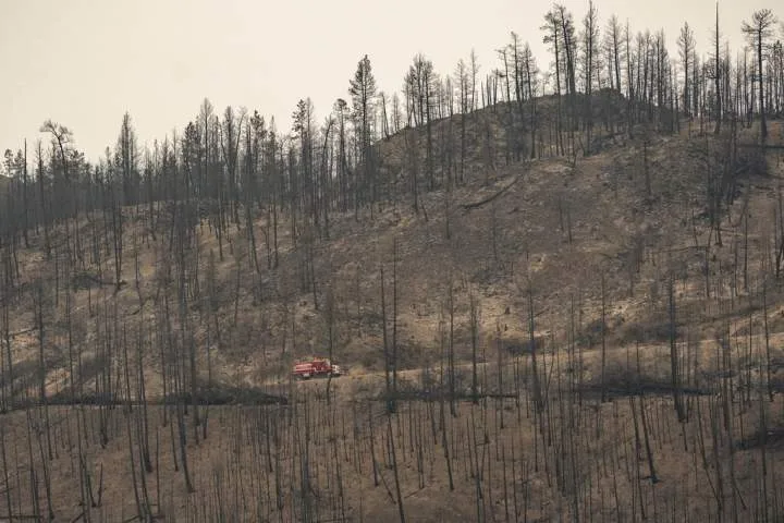 Wildfires expose accessibility failures: advocates