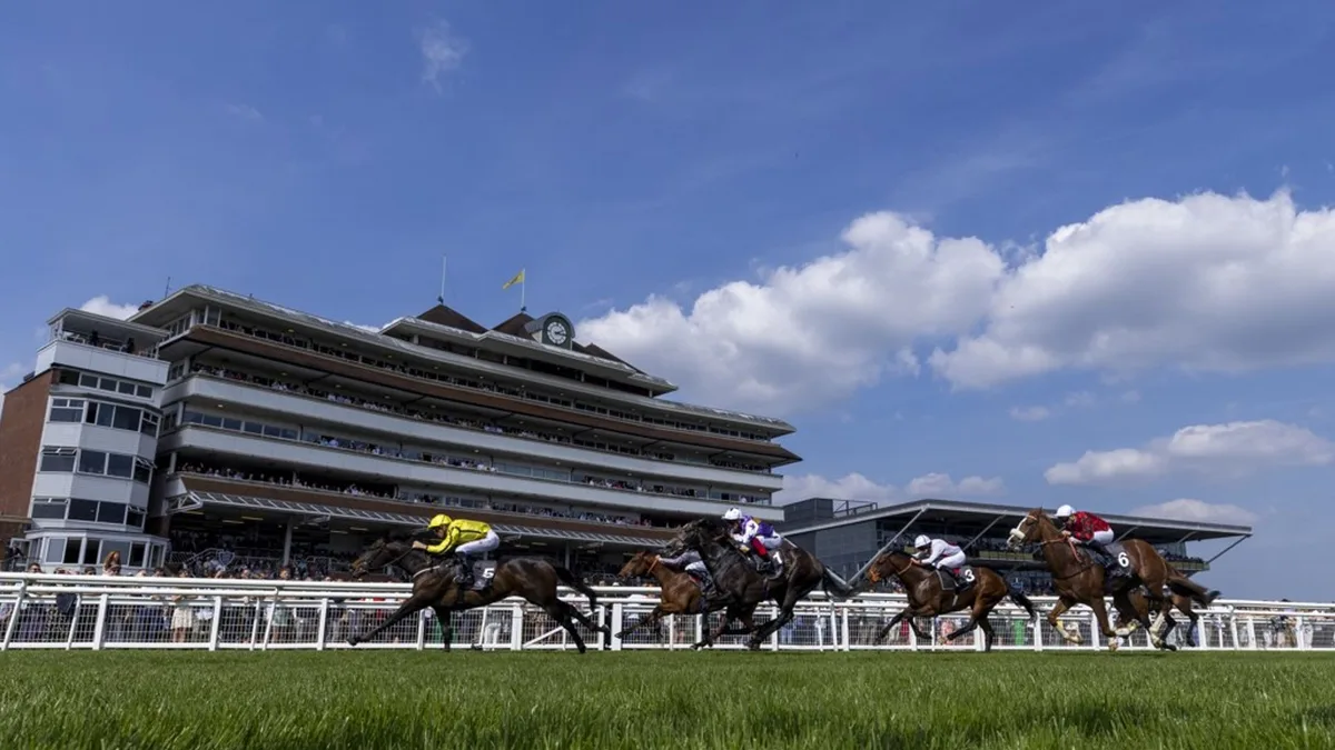 River Card and Cloud Forest clash at Newbury