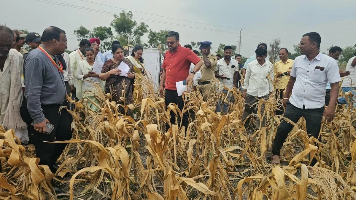 Central team assesses drought impact in Vijayanagara district