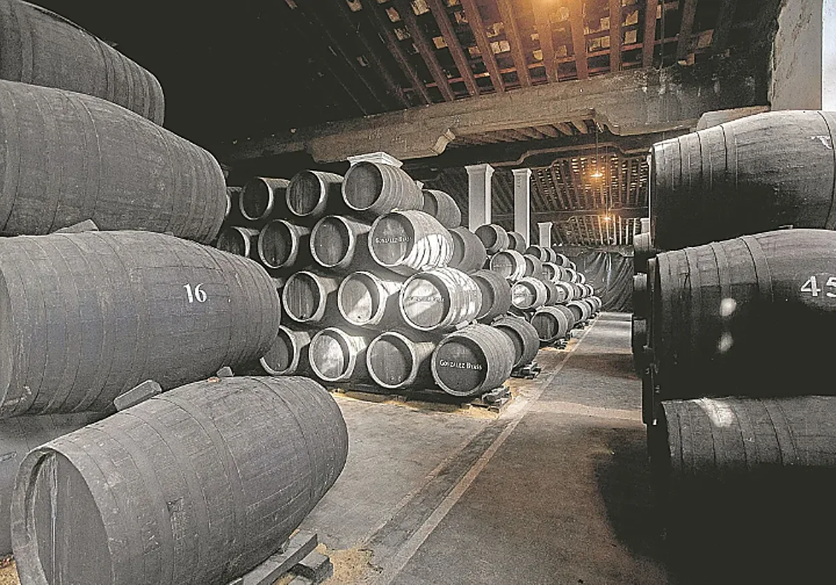 Las bodegas andaluzas se transforman para adaptarse a los nuevos hábitos más «lights»