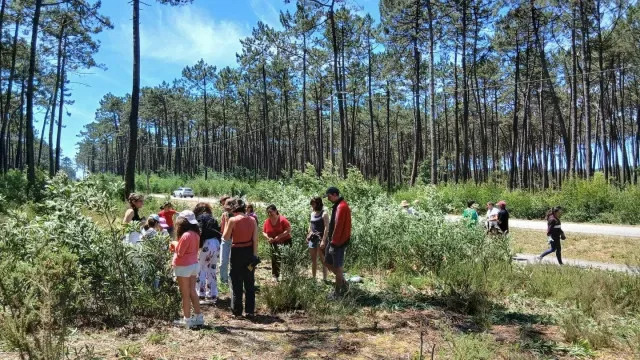 Associação +Pinhal obtém estatuto de Equiparada a ONGA